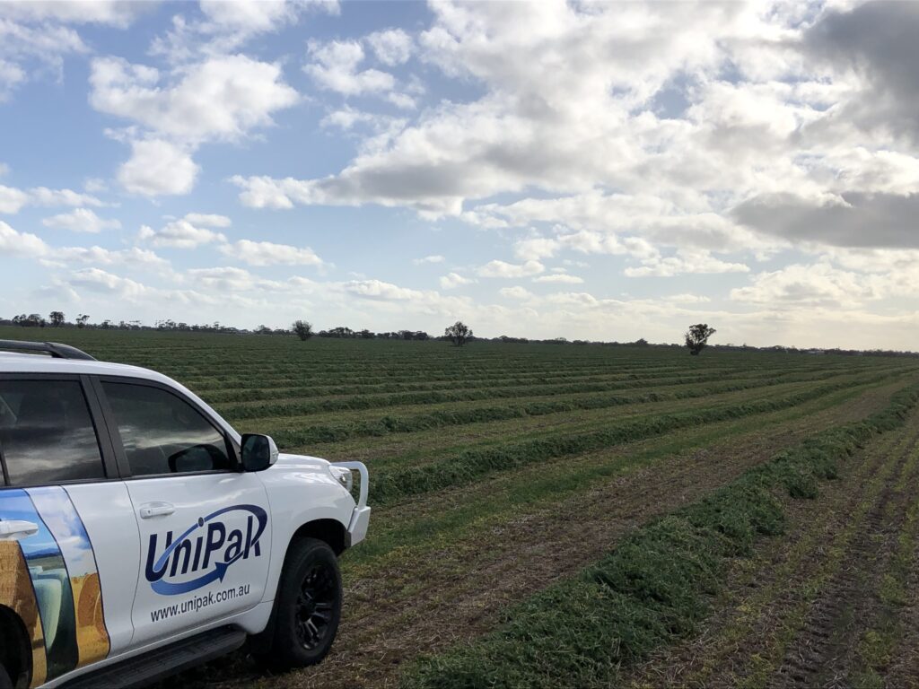 Silage field with wrapped bales using net replacement film for optimal storage
