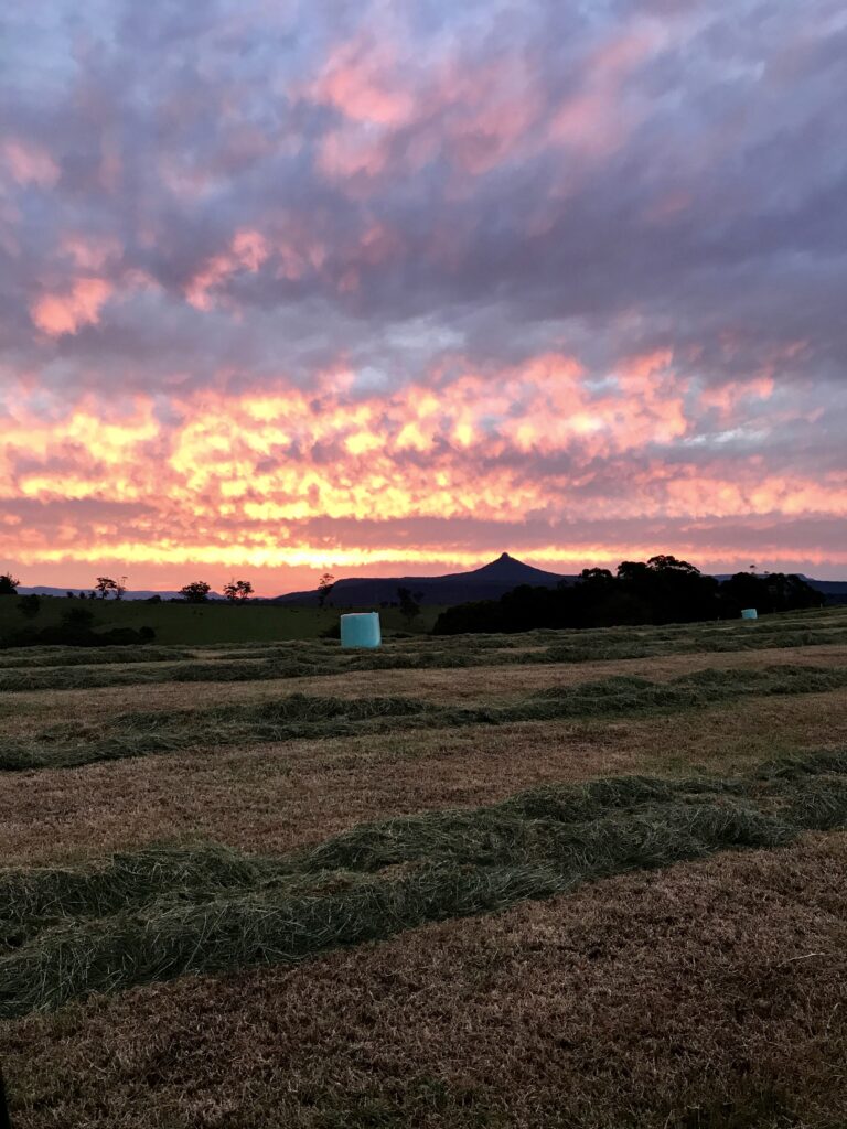 Bales wrapped in net replacement film for optimal preservation