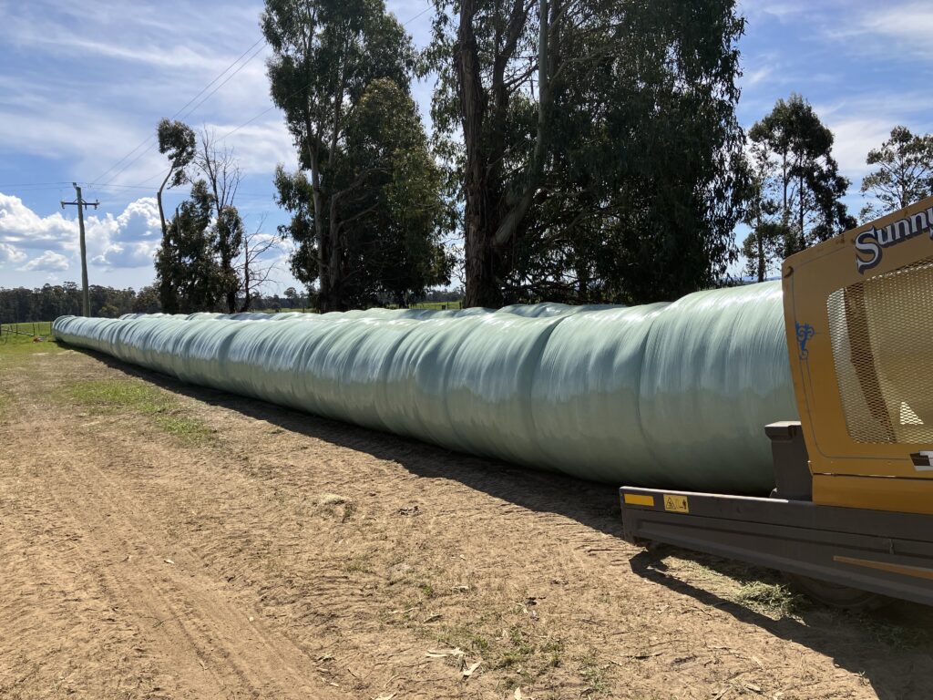 A long row of bales wrapped in heavy-duty plastic for extended storage