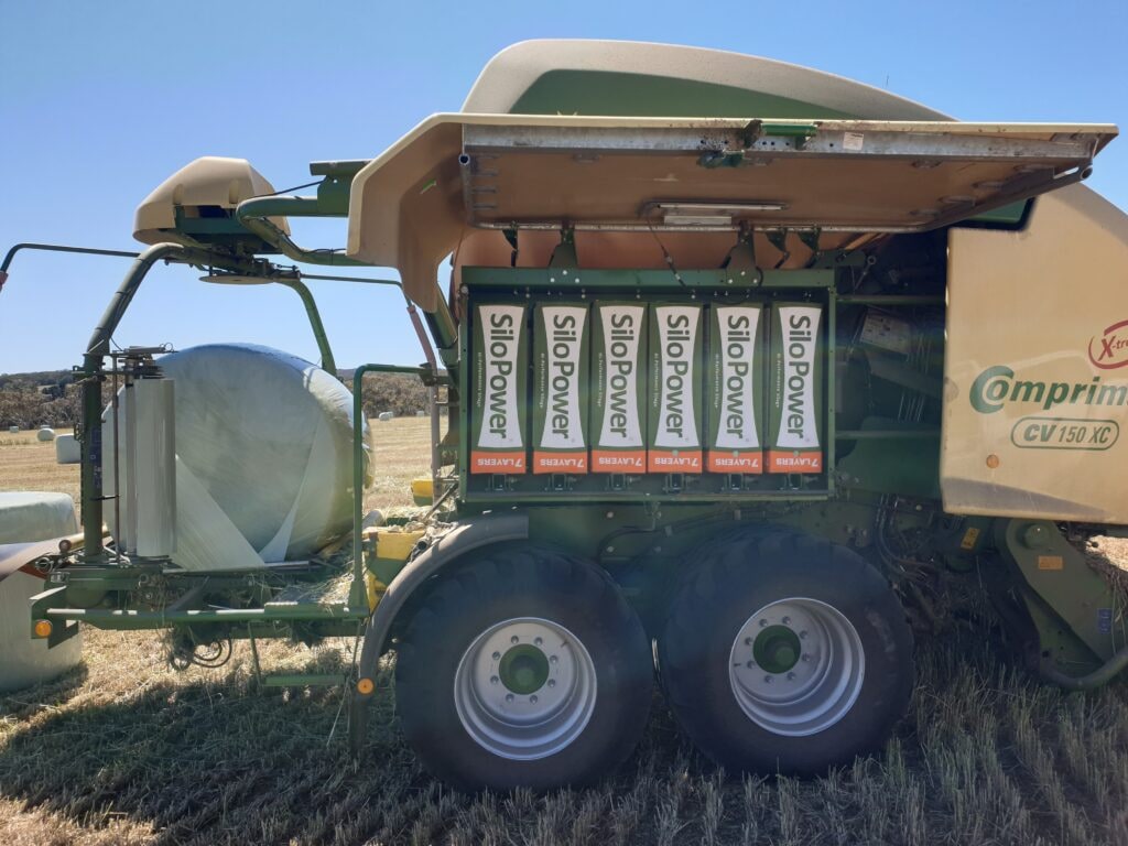 Wrapped silage bales lined up in the paddock.