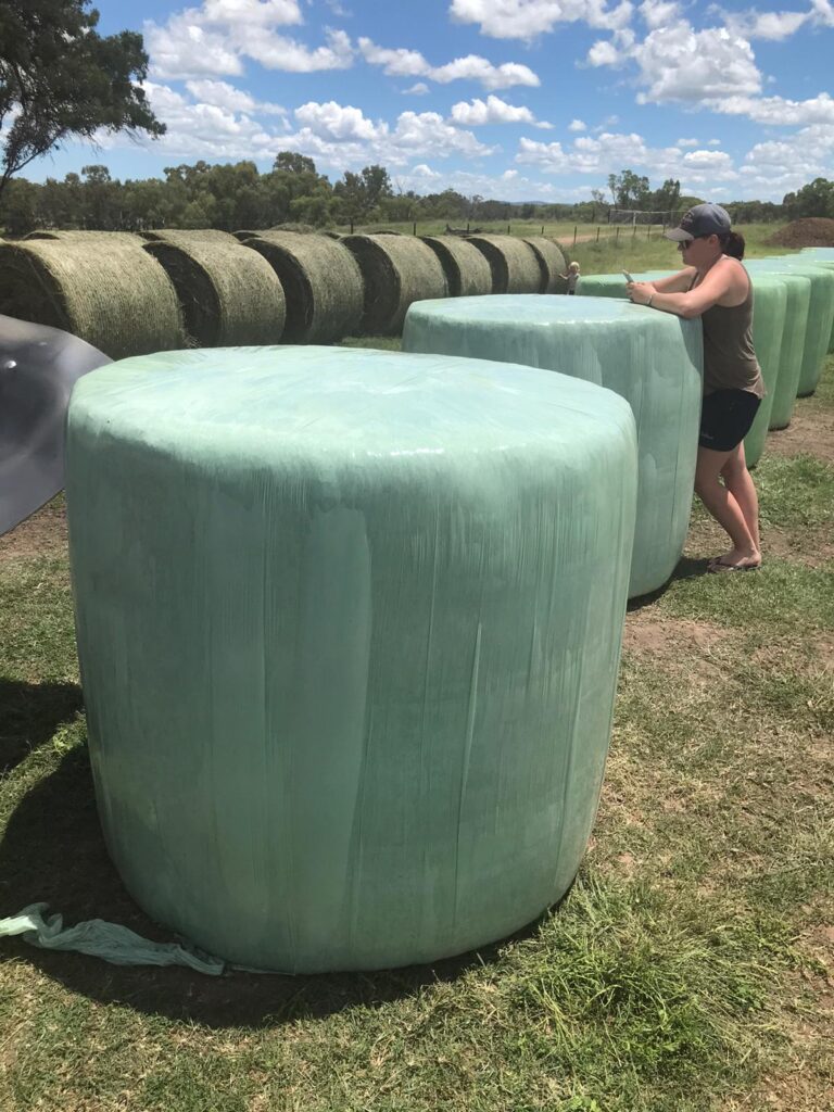 Silage film wrapped bales stacked in the field.