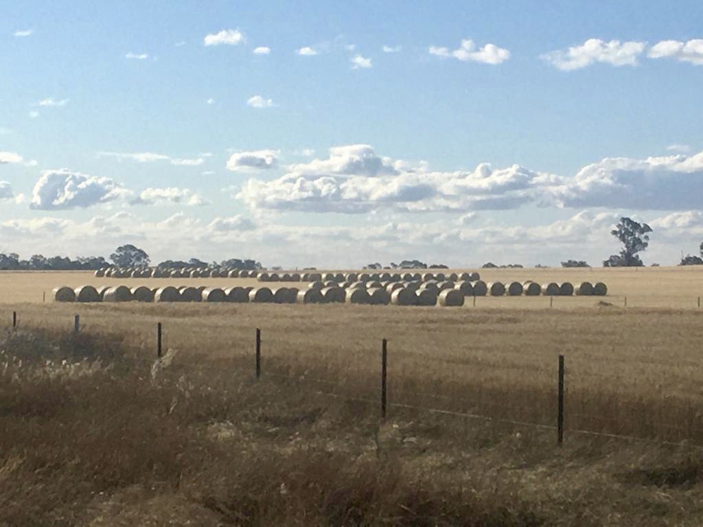 Bale wrap rolls stacked against the horizon