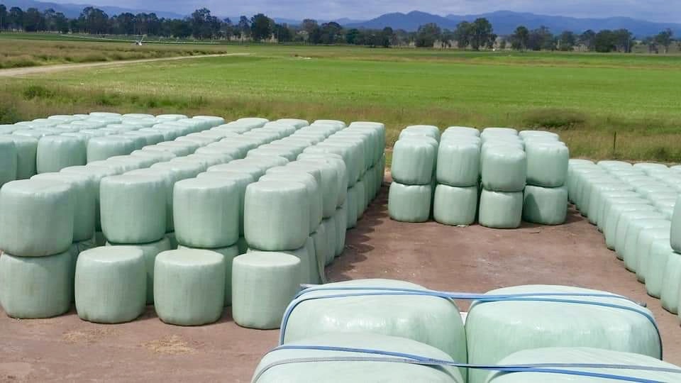 Silage film wrapped bales arranged on the farm.