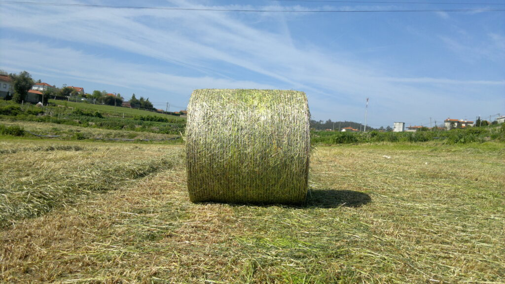 Green bale wrap machine operating on farm