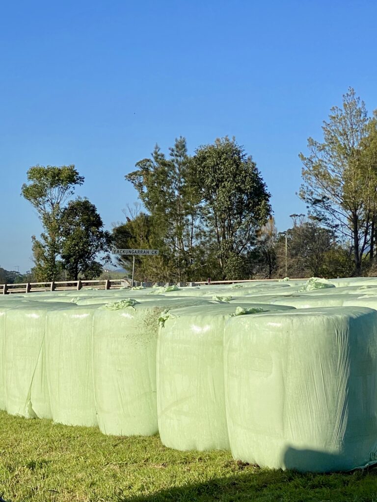 Rows of wrapped silage bales protected with silage plastic for quality silage preservation.