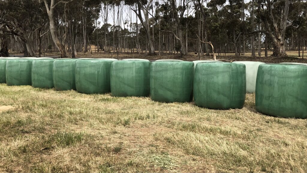 Wrapped silage bales covered with silage plastic for agriculture and quality silage storage.