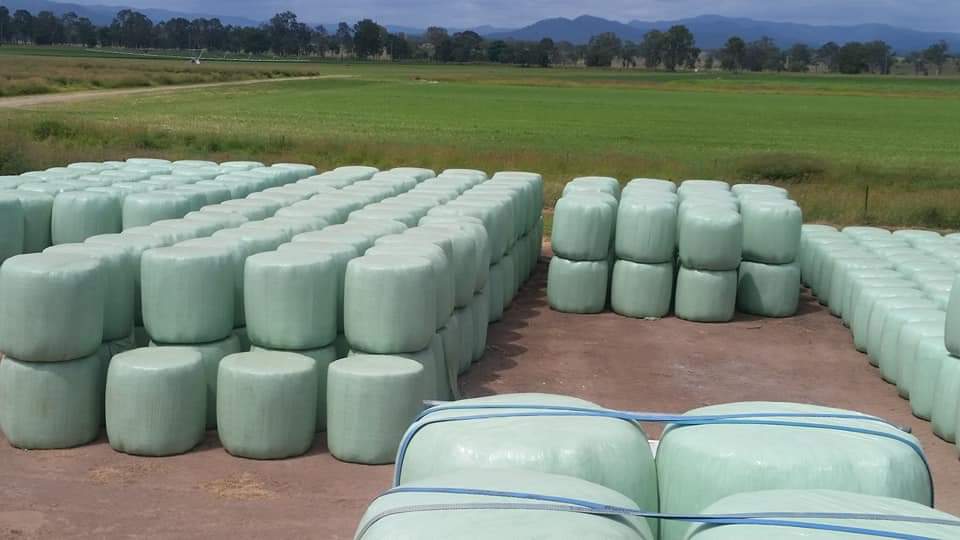 Stacked wrapped silage bales covered with silage plastic for agriculture and long-term storage.
