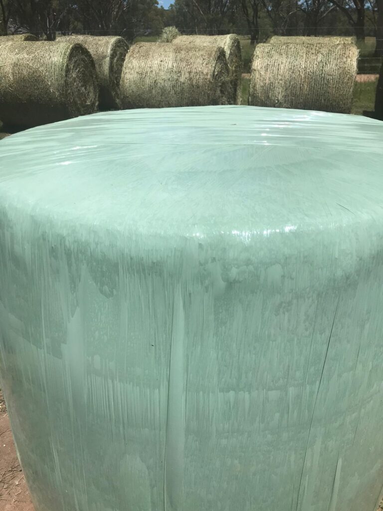 Wrapped round bale protected with silage stretch film for UV resistance and quality silage preservation.